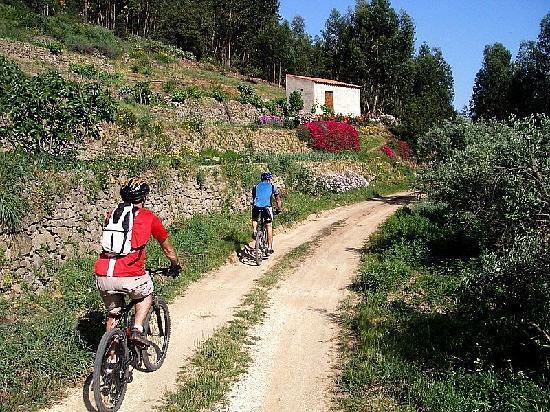 Casa Pescador Διαμέρισμα Καρβοέιρο Εξωτερικό φωτογραφία